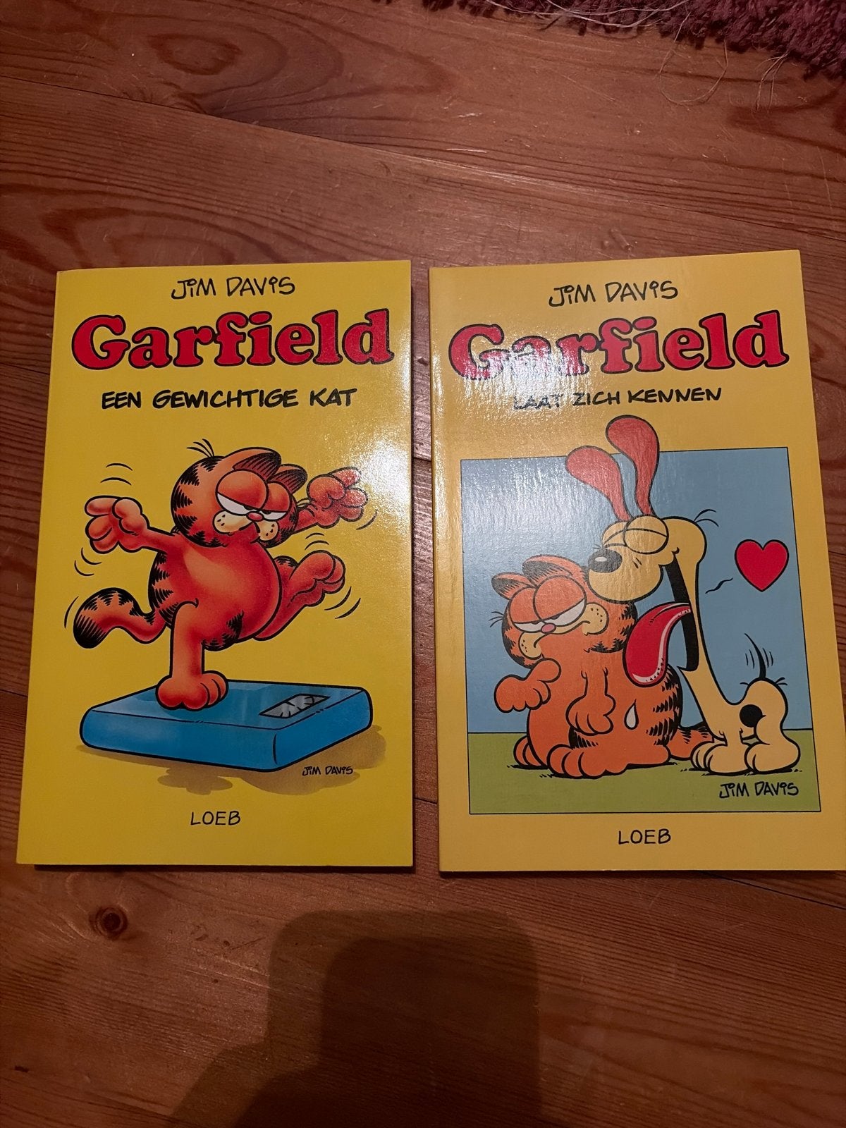 Garfield stripboeken - Een gewichtige kat & Laat zich kennen, Meerdere stripboeken, Ophalen of Verzenden, Gelezen