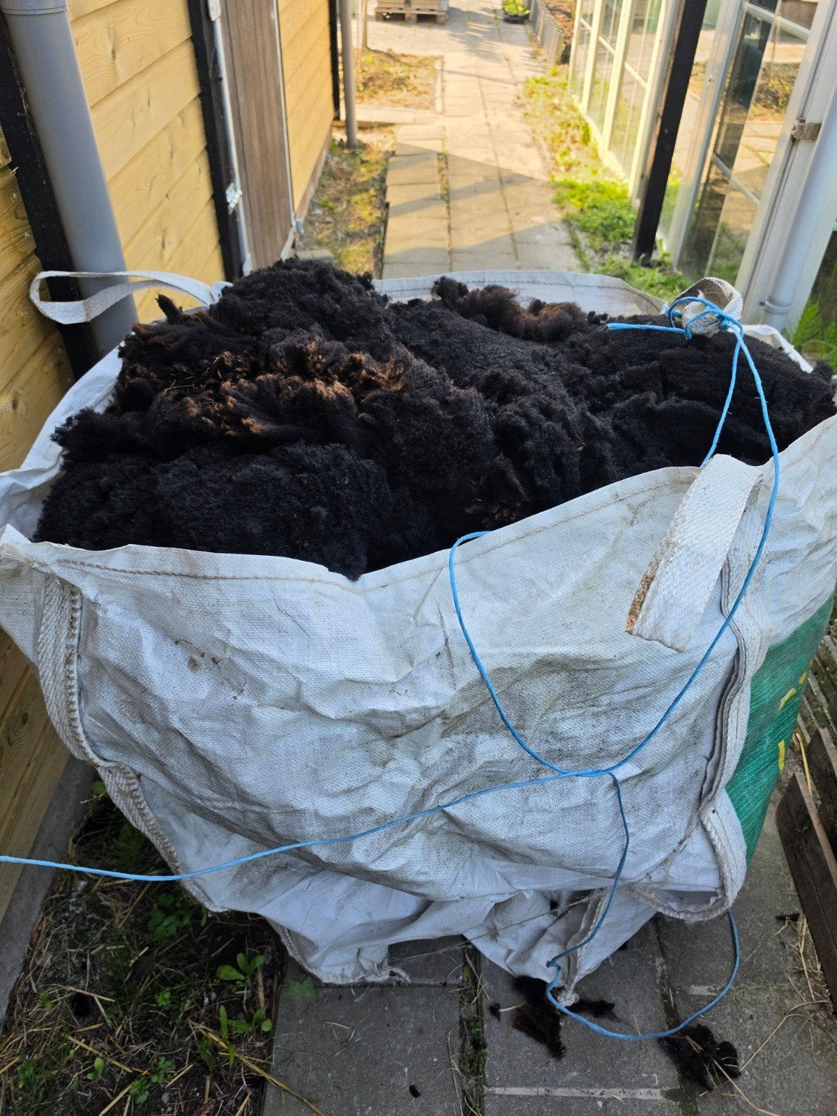Gratis zwartbles schapenwol, schapenvacht, Dieren en Toebehoren