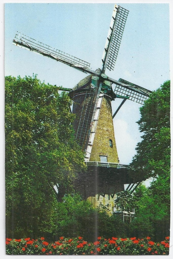 Sus554 Ongelopen ansichtkaart Alkmaar molen van piet, Verzamelen, Ansichtkaarten | Nederland, Ophalen of Verzenden, 1980 tot heden