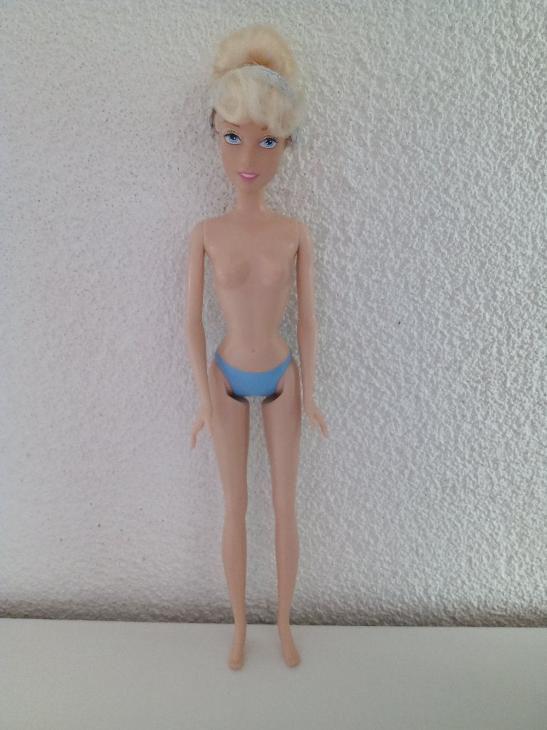 Disney Park Collection - CINDERELLA (ASSEPOESTER), Ophalen of Verzenden, Gebruikt, Pop
