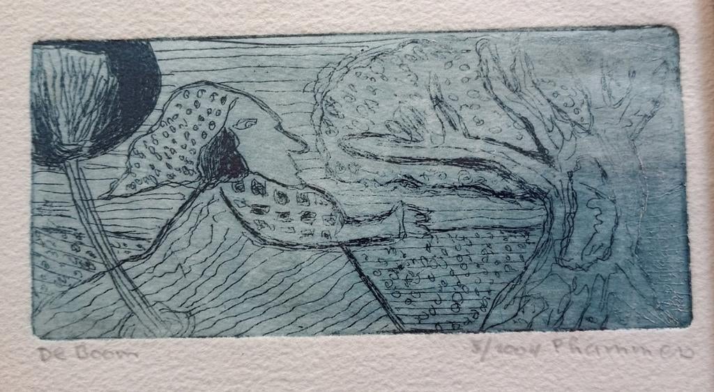 Ets De Boom P.Lammers, Antiek en Kunst, Kunst | Litho's en Zeefdrukken, Ophalen of Verzenden