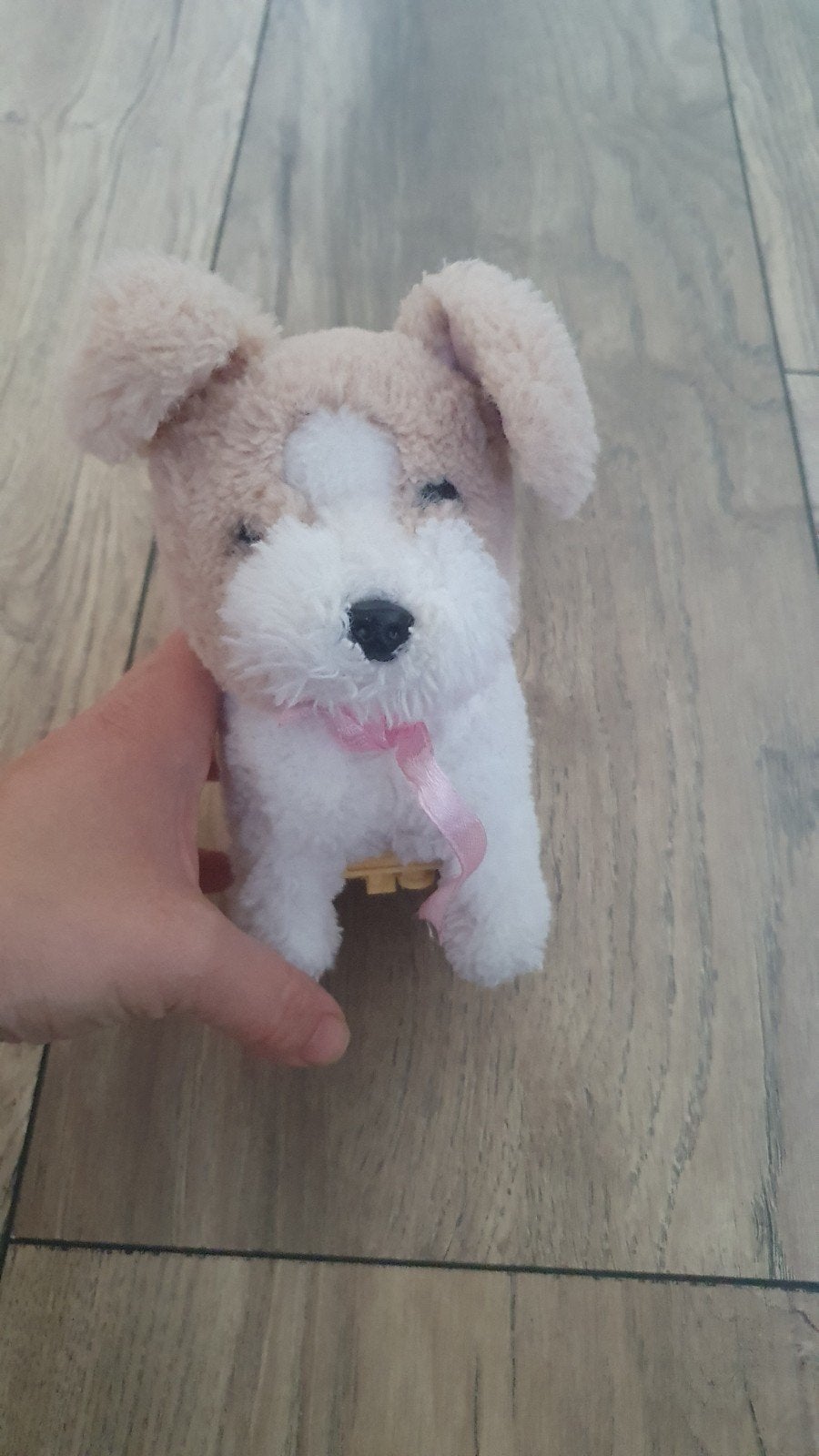 Hondje knuffel, Ophalen of Verzenden, Zo goed als nieuw, Hond