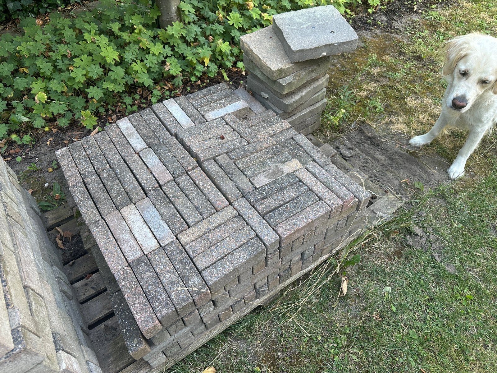 Gratis - Betonklinkers / waaltjes, Ophalen, Gebruikt, Klinkers, Minder dan 5 m²