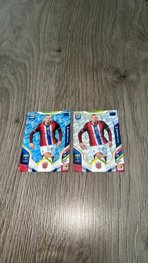 Fifa 365 PANINI - Haaland (FAN96), Ophalen, Zo goed als nieuw, Buitenlandse clubs, Poster, Plaatje of Sticker