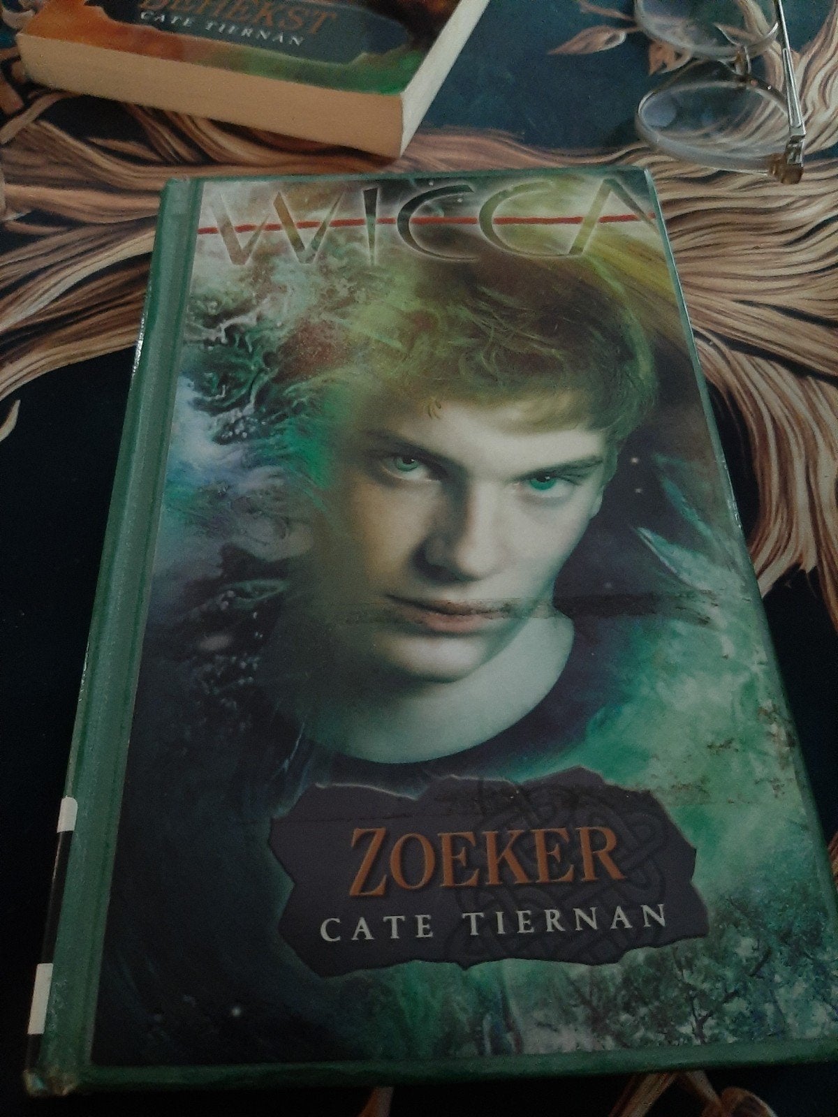 Wicca Deel 10 - Zoeker door Cate Tiernan, Boeken, Fantasy, Gelezen, Ophalen of Verzenden