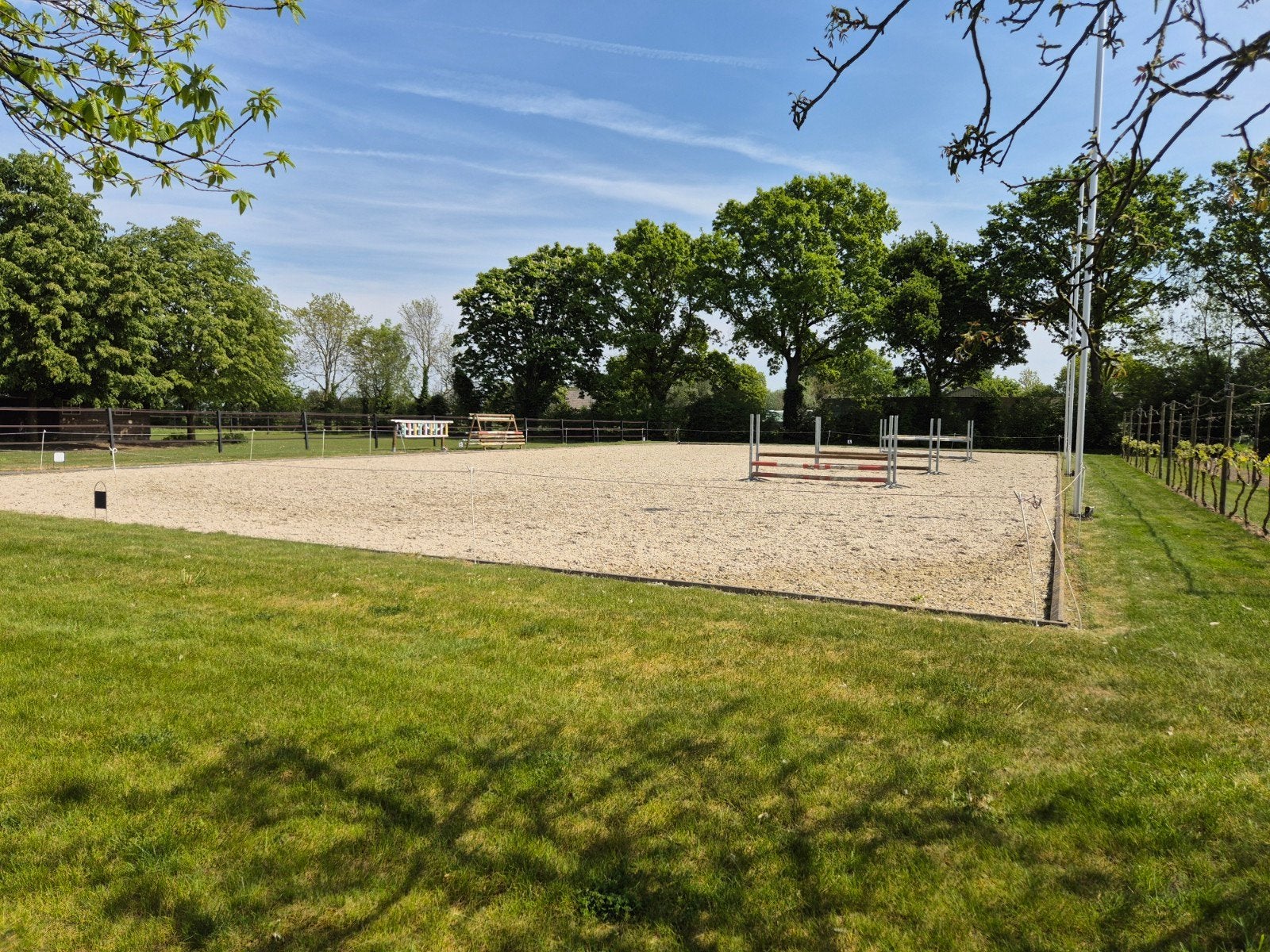 Stal met veel privacy, rust & eb- en vloedbaan, Weidegang, 1 paard of pony