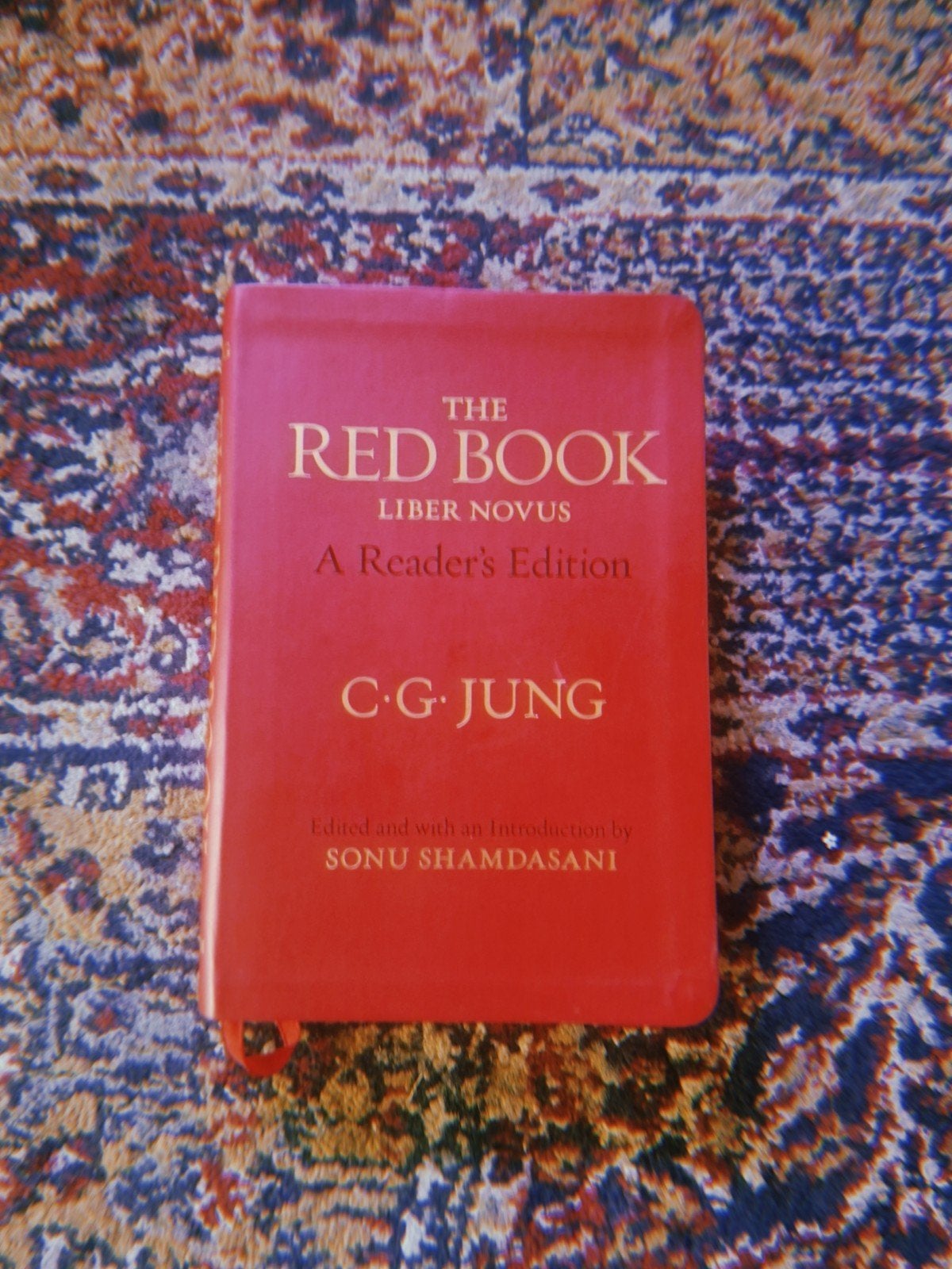 The Red Book - Liber Novus A Reader's Edition C.G. Jung, Ophalen of Verzenden, Zo goed als nieuw, Klinische psychologie, C.G. Jung