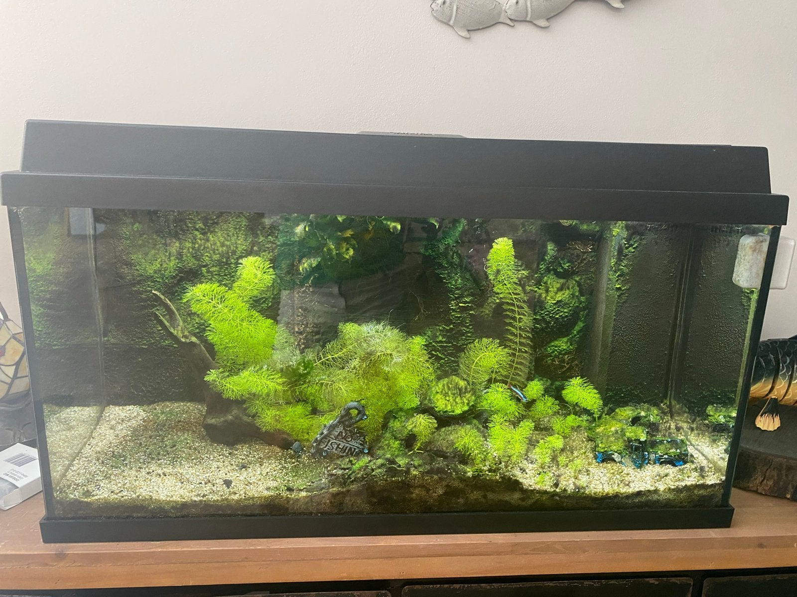 Juwel aquarium., Dieren en Toebehoren, Ophalen of Verzenden, Inclusief vissen, Gebruikt, Juwel