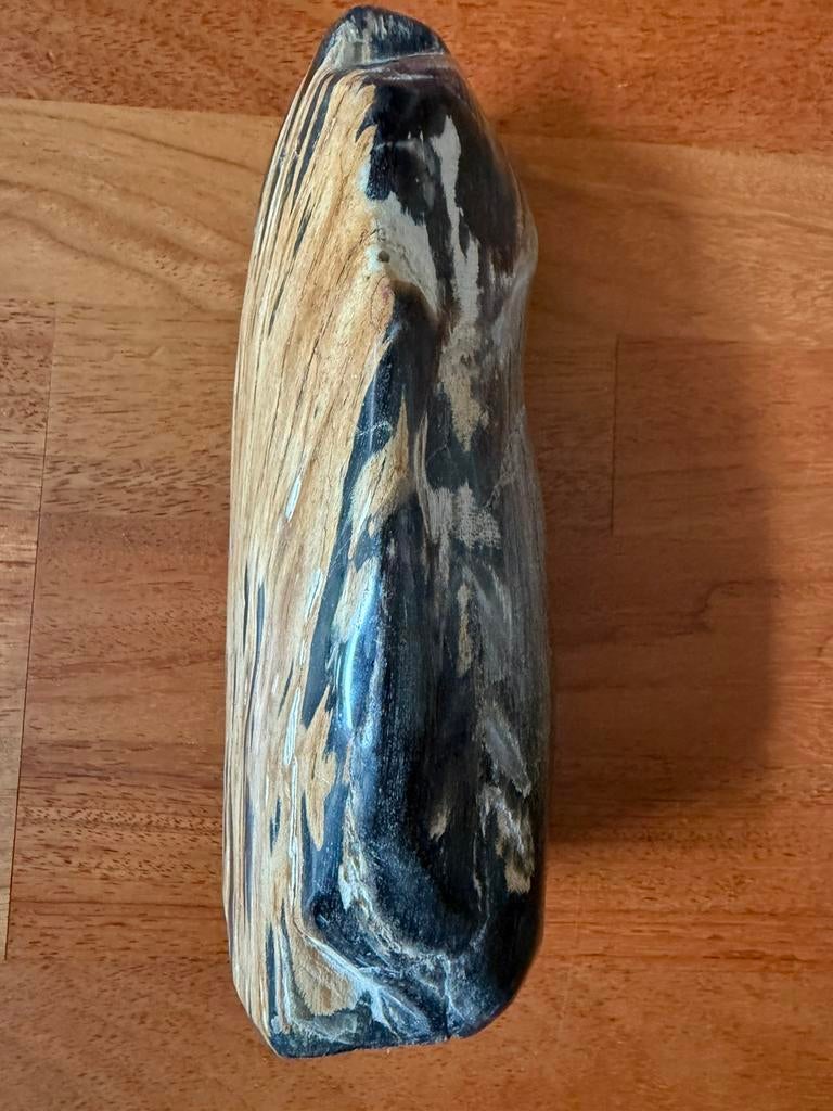 Polished petrified wood turning it into stone 27x9., Ophalen of Verzenden