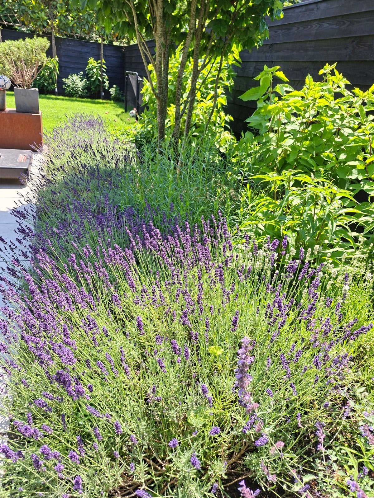 Tuinman | Hovenier | Tuinaanleg | Bestrating, Garantie, Tuinontwerp