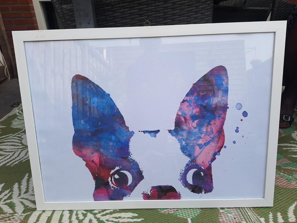 Franse Bulldog Zeefdruk - Kleurrijk Kunstwerk 74x55 cm, Antiek en Kunst, Kunst | Litho's en Zeefdrukken, Ophalen
