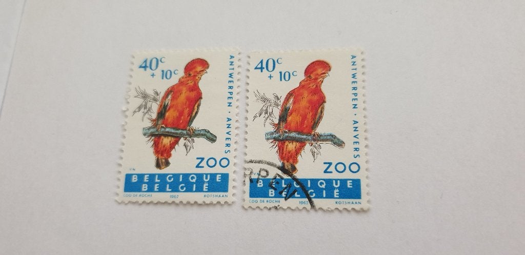 6962 belgie antwerpen zoo 1962, Verzenden