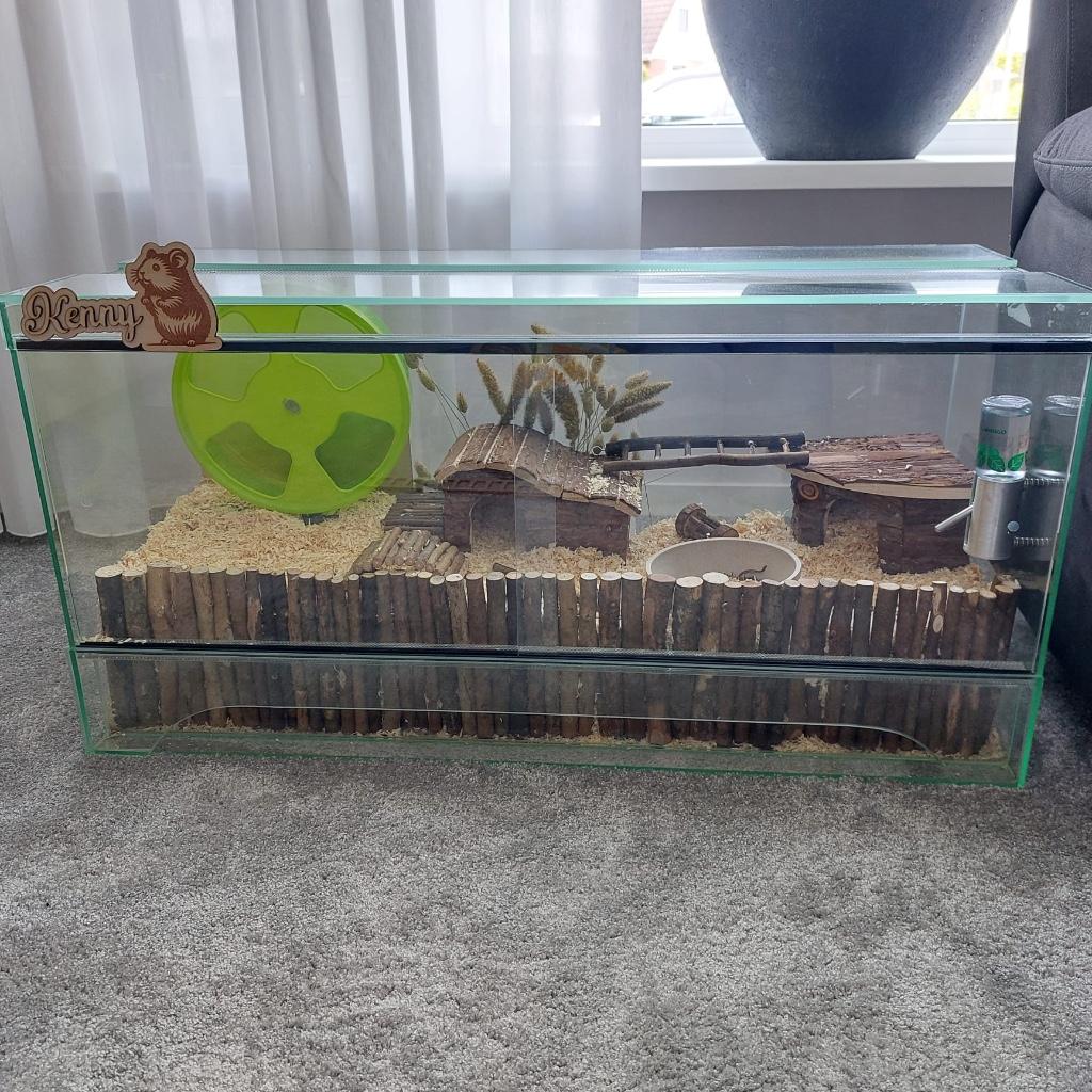 Hamster terrarium 100x40x50 complete set, Dieren en Toebehoren, Gebruikt, Overige typen, Hamster, 75 tot 110 cm