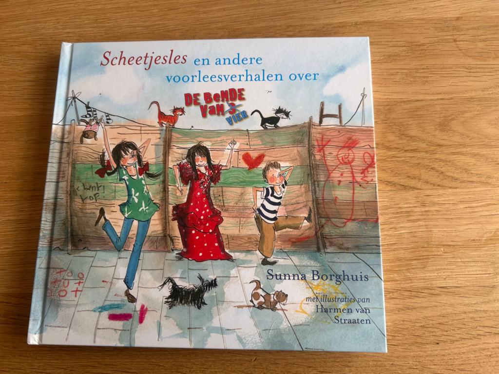Sunna Borghuis - Scheetjesles, Sunna Borghuis, Fictie algemeen, Ophalen of Verzenden, Zo goed als nieuw