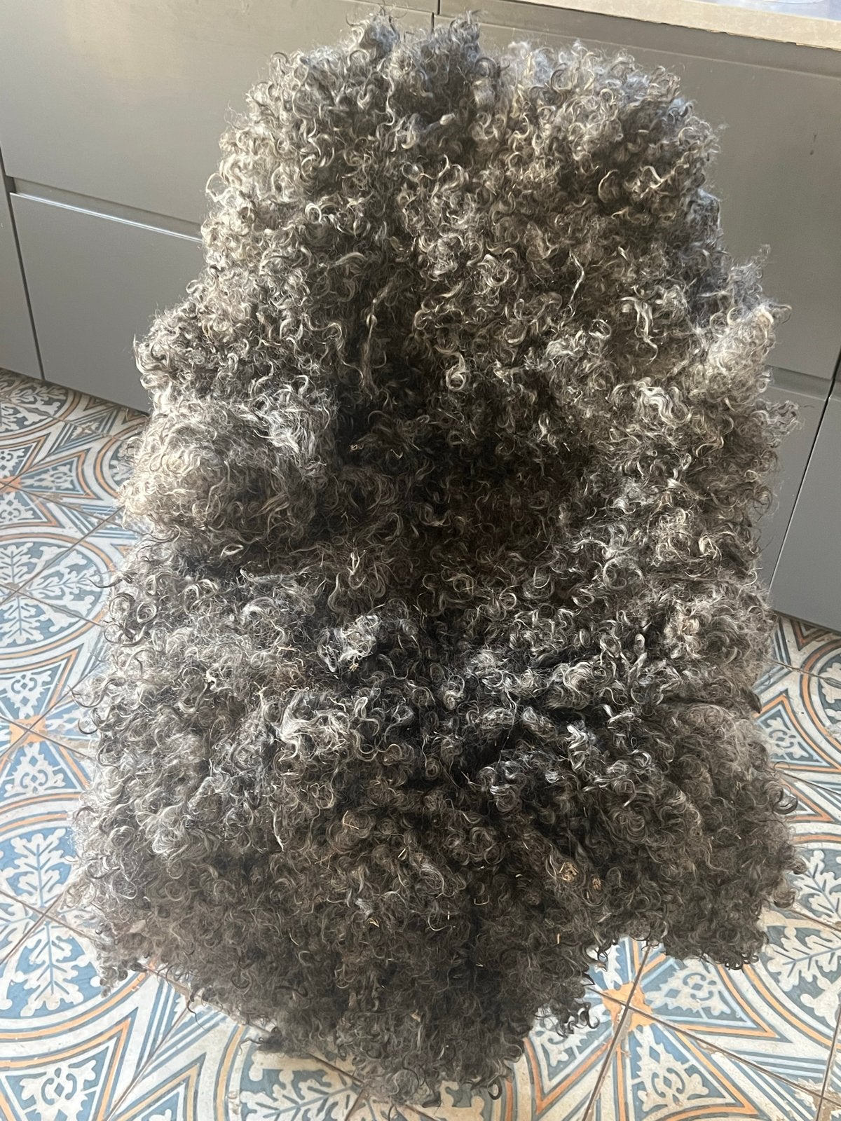 Vachtvilten Gotland schaap, handgemaakt, Nieuw, 150 tot 200 cm, Grijs, Rechthoekig