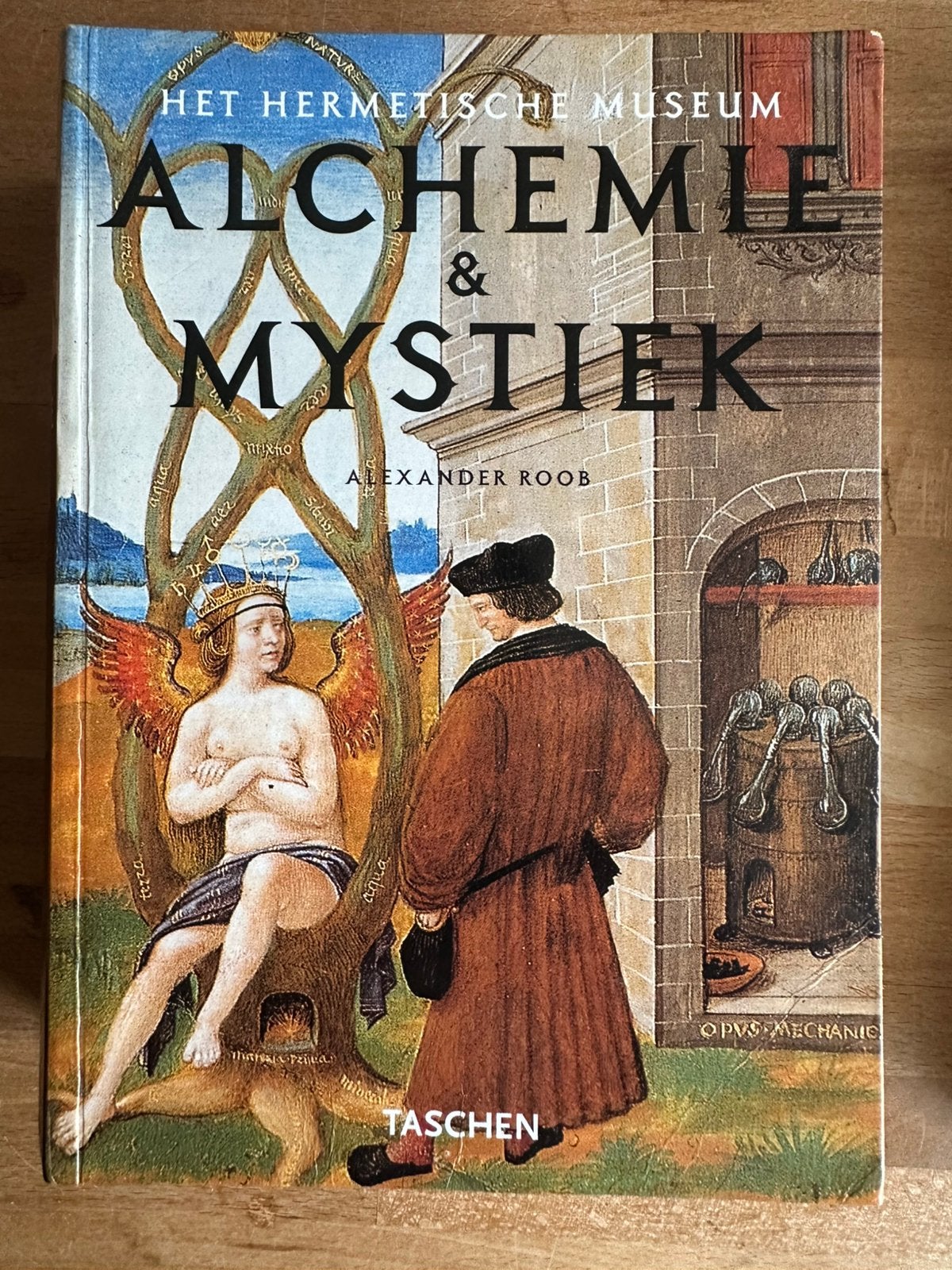 Alchemie & Mystiek: Het hermetische museum. A. Roob, Taschen, Ophalen, Zo goed als nieuw, Spiritualiteit algemeen, Achtergrond en Informatie