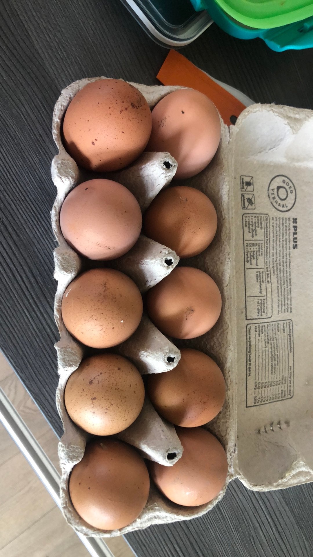 Raszuivere lohman broed eieren, Dieren en Toebehoren, Pluimvee, Vrouwelijk, Kip