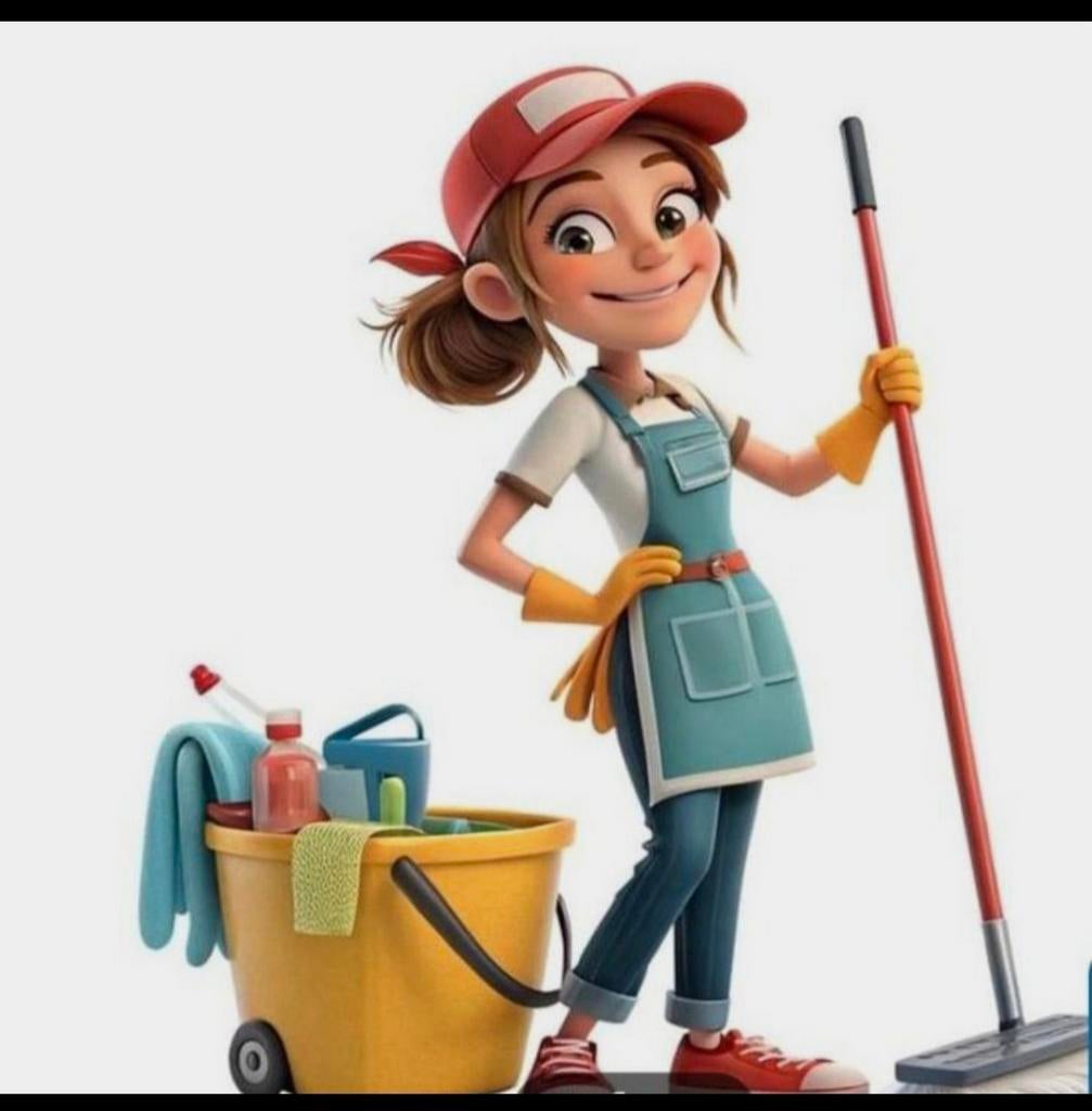 Kantoor schoonmaak zoetermeer met materiaal, Overige niveaus, Overige vormen