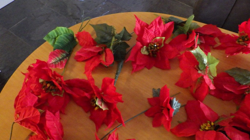 mooie kerststerren van kunststof (rood en wit), Ophalen of Verzenden, Gebruikt