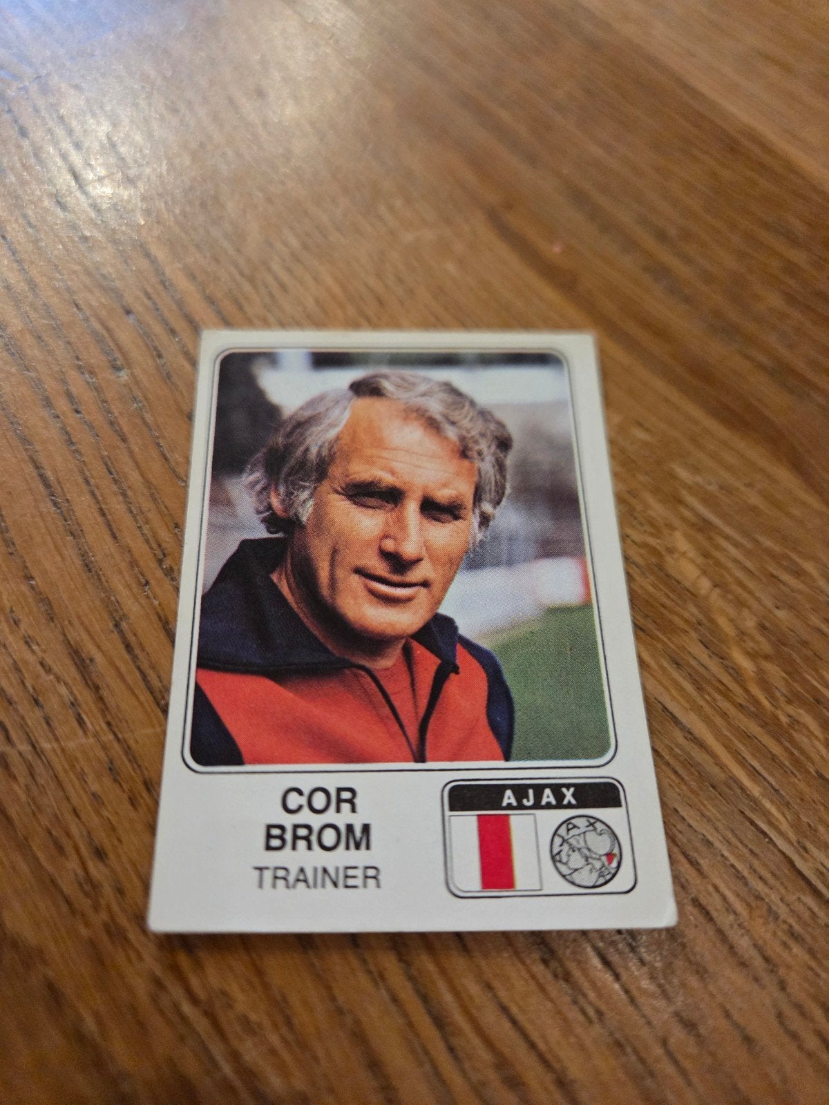 Panini Ajax, Verzamelen, Ophalen of Verzenden, Zo goed als nieuw, Ajax, Poster, Plaatje of Sticker