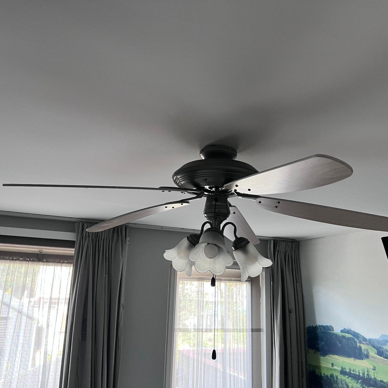Plafondventilator met verlichting en 5 bladen, Ophalen, Gebruikt, Plafondventilator