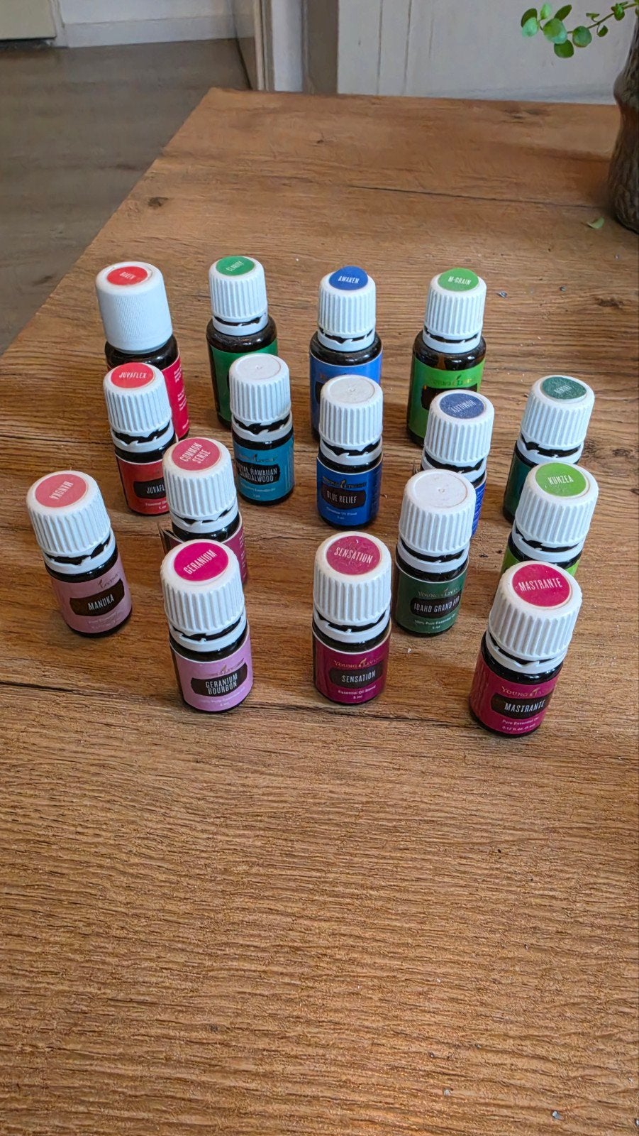 Young Living oliën, Ophalen of Verzenden, Zo goed als nieuw, Overige typen