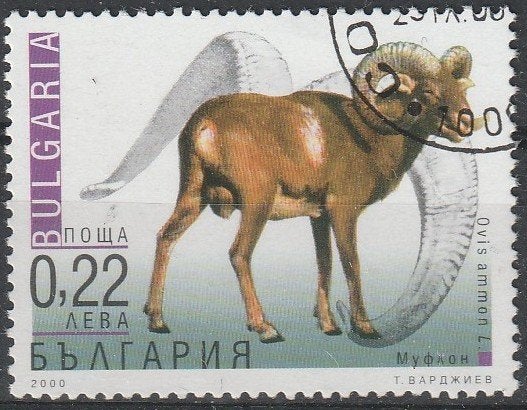 4196. Bulgarije 4485 gest. Wild Schaap, Ophalen of Verzenden, Bulgarije, Gestempeld
