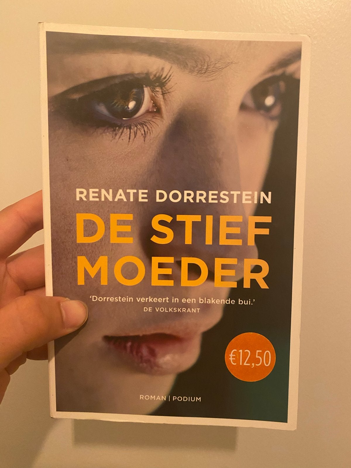 De Stiefmoeder - Renate Dorrestein (Roman), Boeken, Romans, Gelezen, Nederland, Ophalen of Verzenden