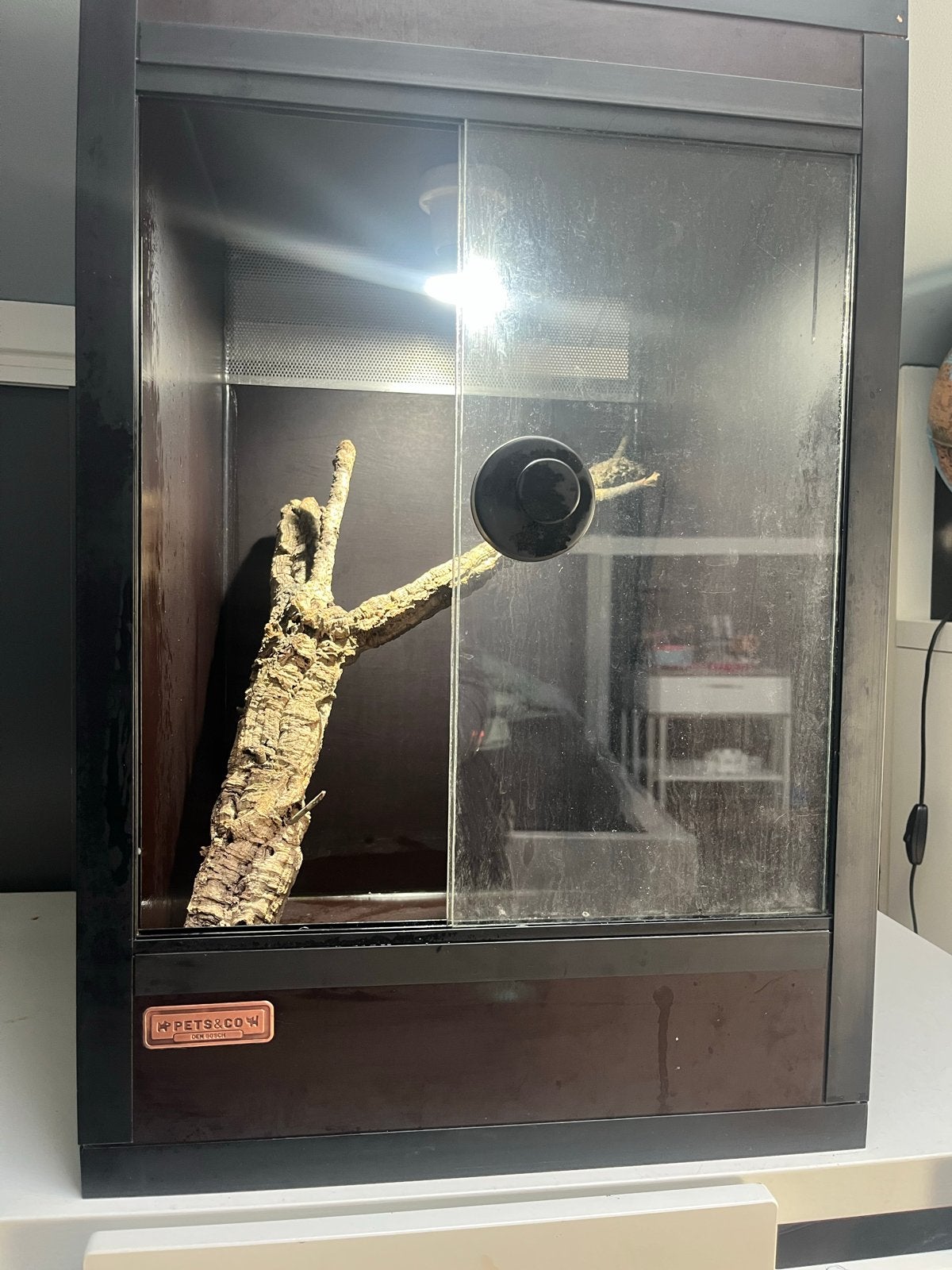 Terrarium, ., Ophalen of Verzenden, Zo goed als nieuw, .