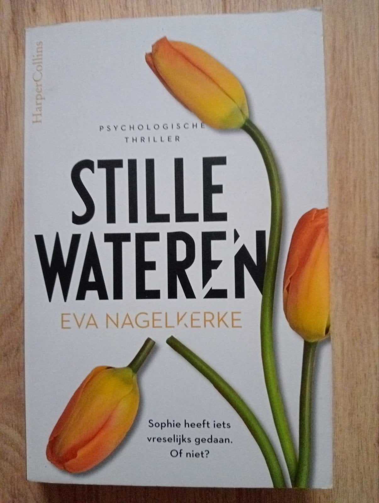 Eva nagelkerke - stille wateren, Gelezen, Eva nagelkerke, Ophalen of Verzenden, Nederland
