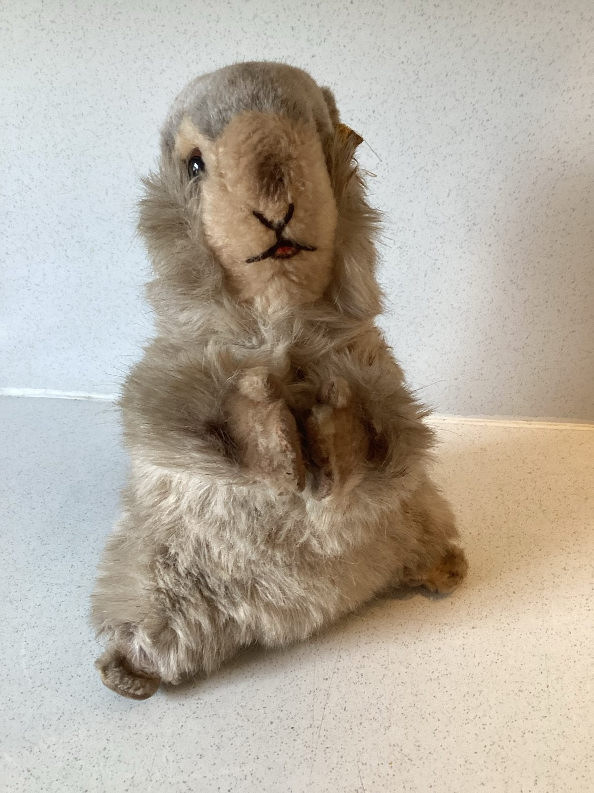 Vintage Steiff Murmeltier Murmel Marmot Knuffel, Gebruikt, Overige merken, Overige typen, Ophalen of Verzenden