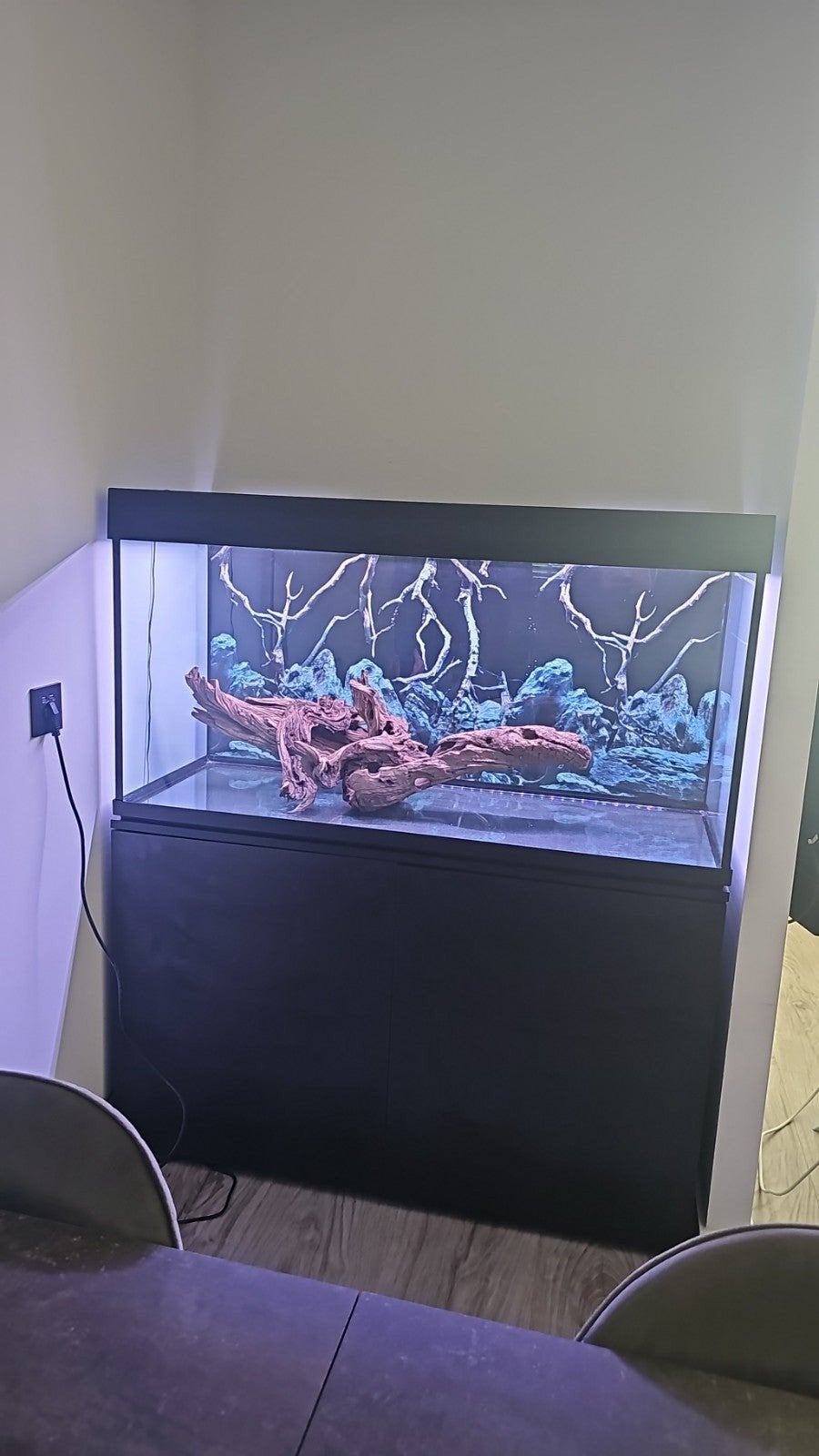Aquarium 120 x 47 x 65, Ophalen, Leeg aquarium