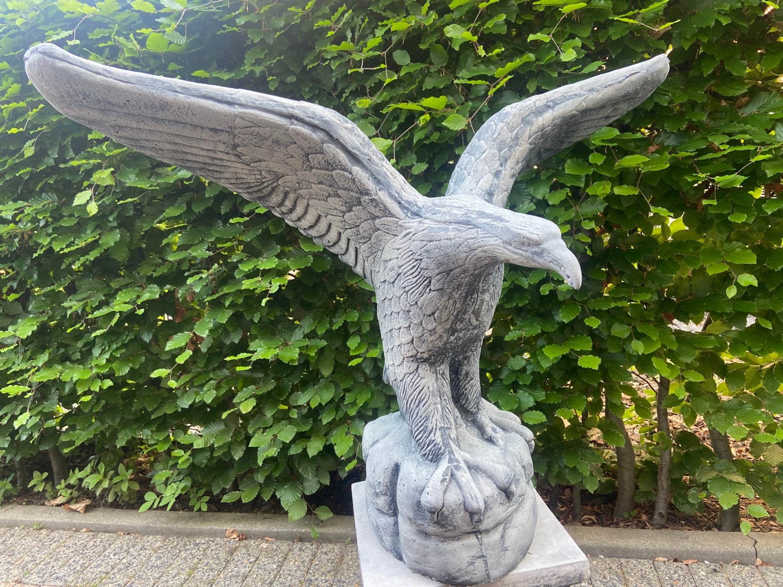 Adelaar 90x70cm, Ophalen, Nieuw, Beton, Dierenbeeld