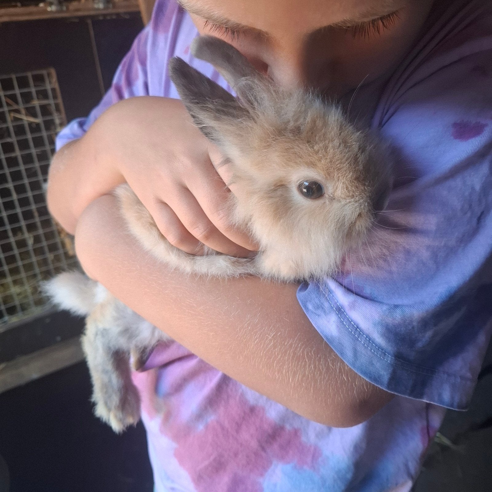 lieve handtamme dwergkonijntjes., Dieren en Toebehoren, Juli, Mannelijk, Overige typen