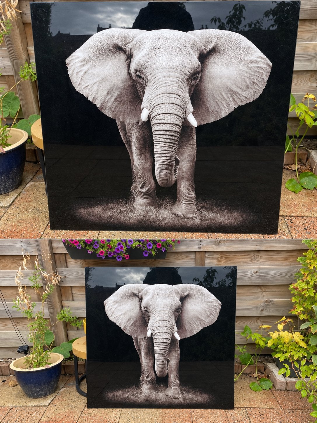 Olifant afgebeeld op glasplaat, Huis en Inrichting, Woonaccessoires | Schilderijen, Tekeningen en Foto's, Ophalen, Zo goed als nieuw