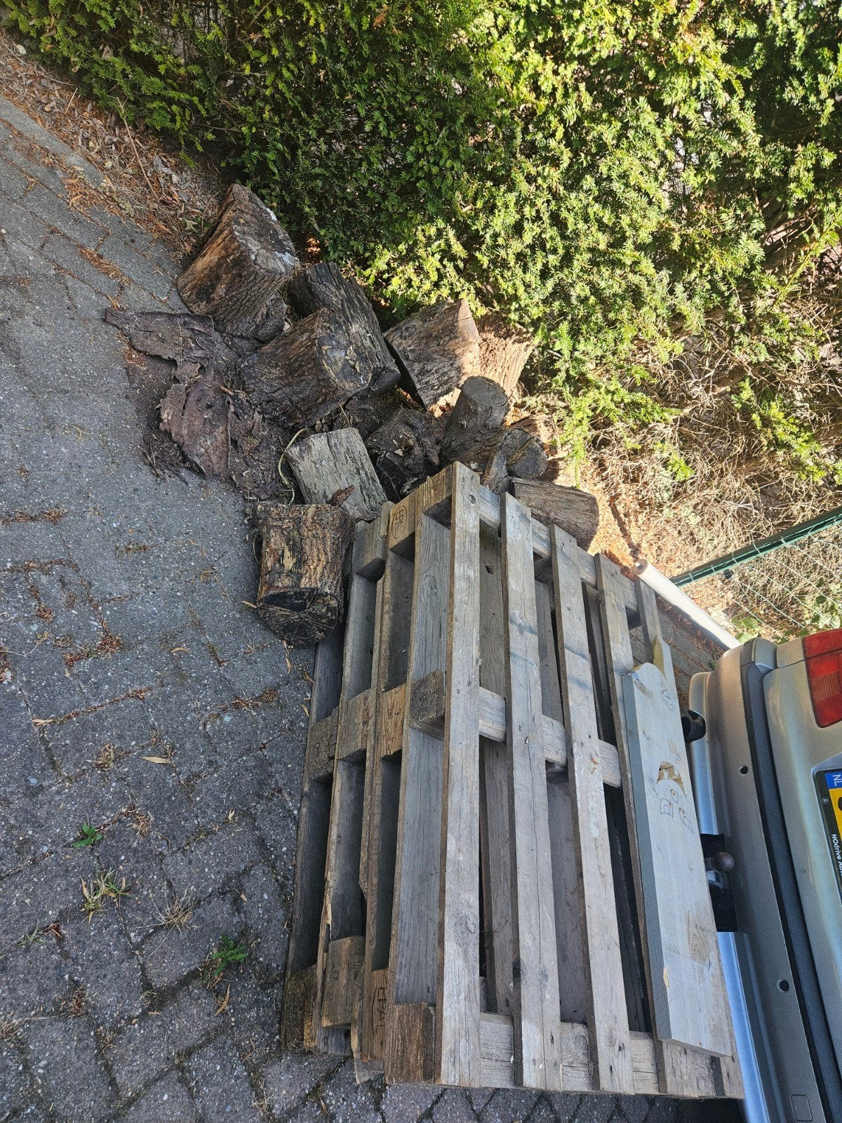 GRATIS 4 PALLETS EN BOOMSTAMMETJES, Ophalen, Gebruikt