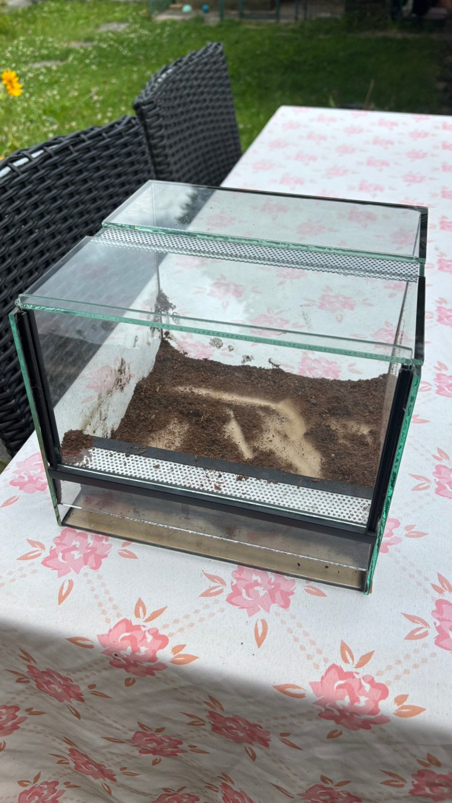 Terrarium 25 x 25 x 20 cm, Dieren en Toebehoren, Ophalen, Nieuw