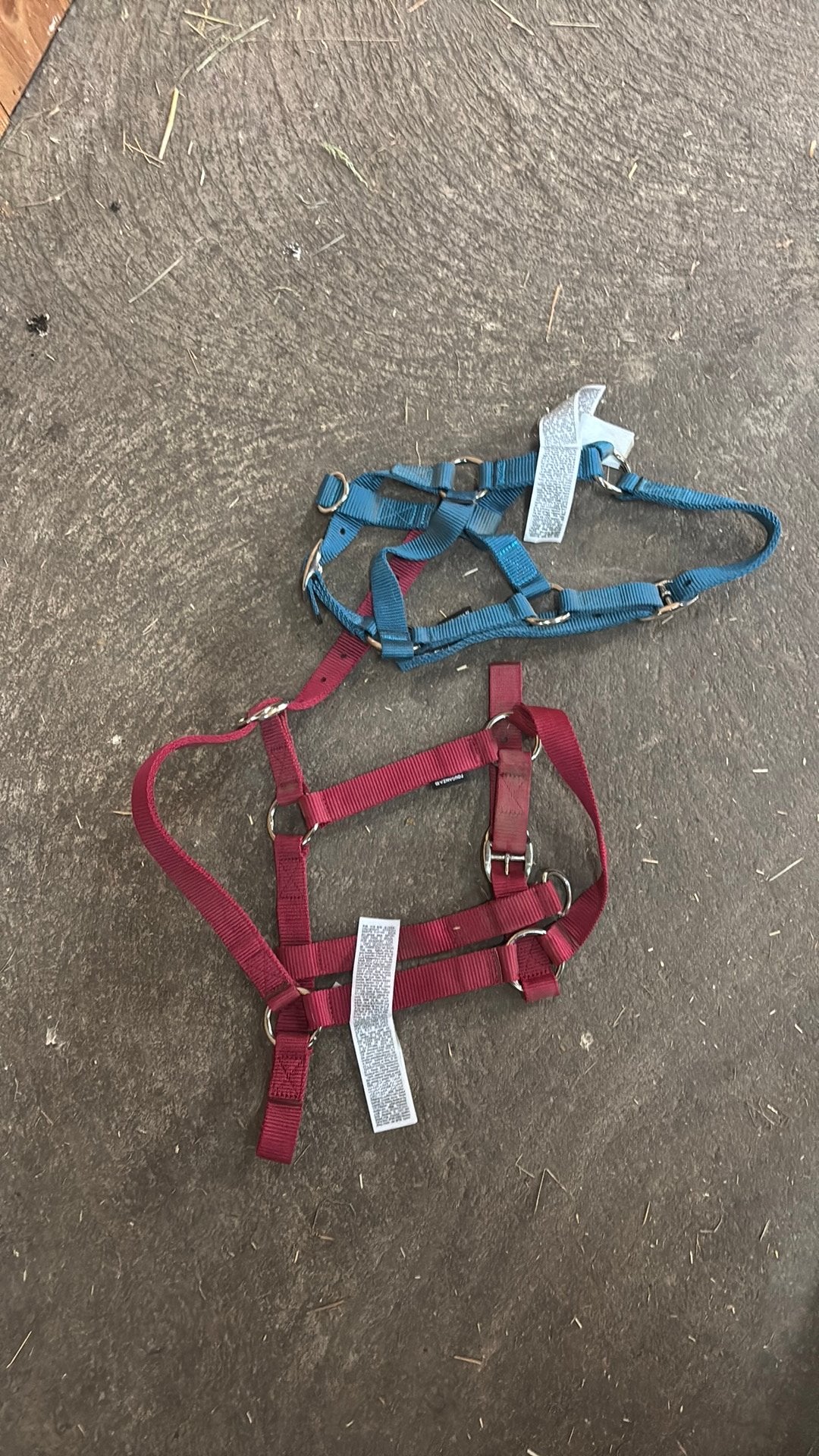 decatlon halsters, Dieren en Toebehoren, Paarden en Pony's | Hoofdstellen en Tuigage, Ophalen of Verzenden, Zo goed als nieuw