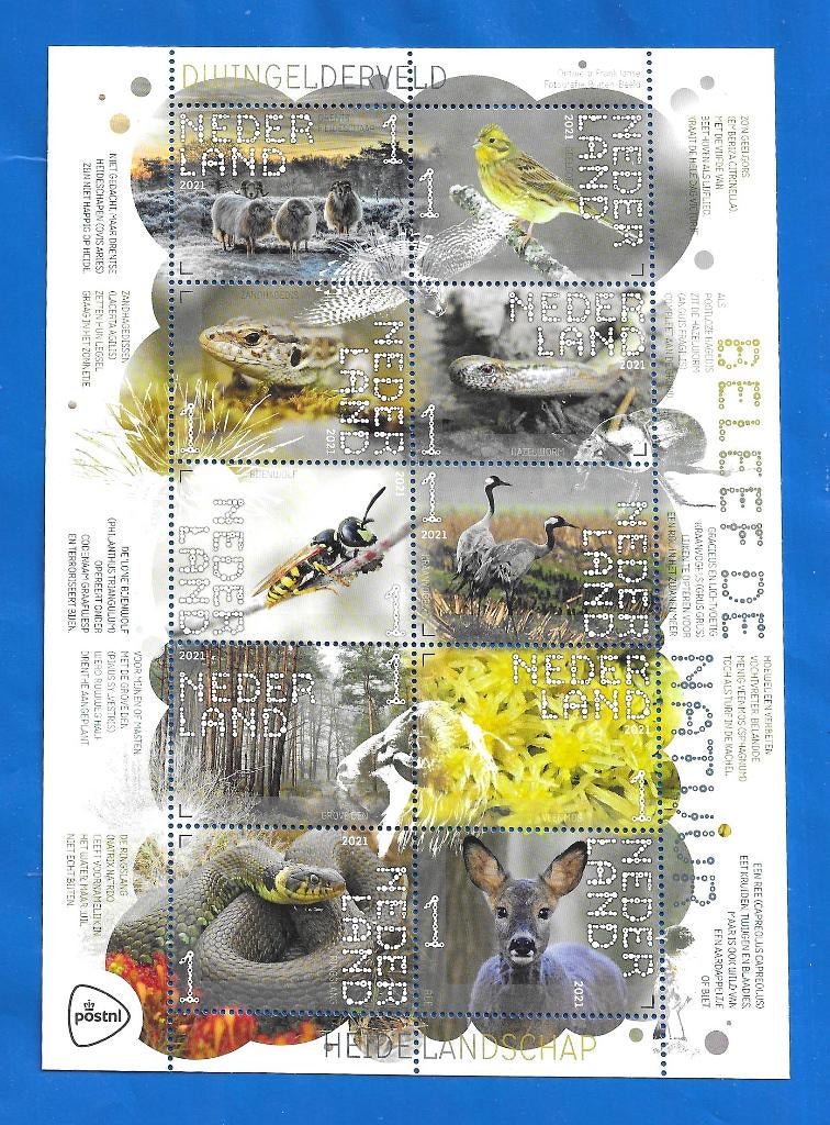 NVPH 3899-3908 Beleef de Natuur 2021 - Dwingelderveld, Postzegels en Munten, Postzegels | Nederland, Verzenden, Na 1940, Postfris