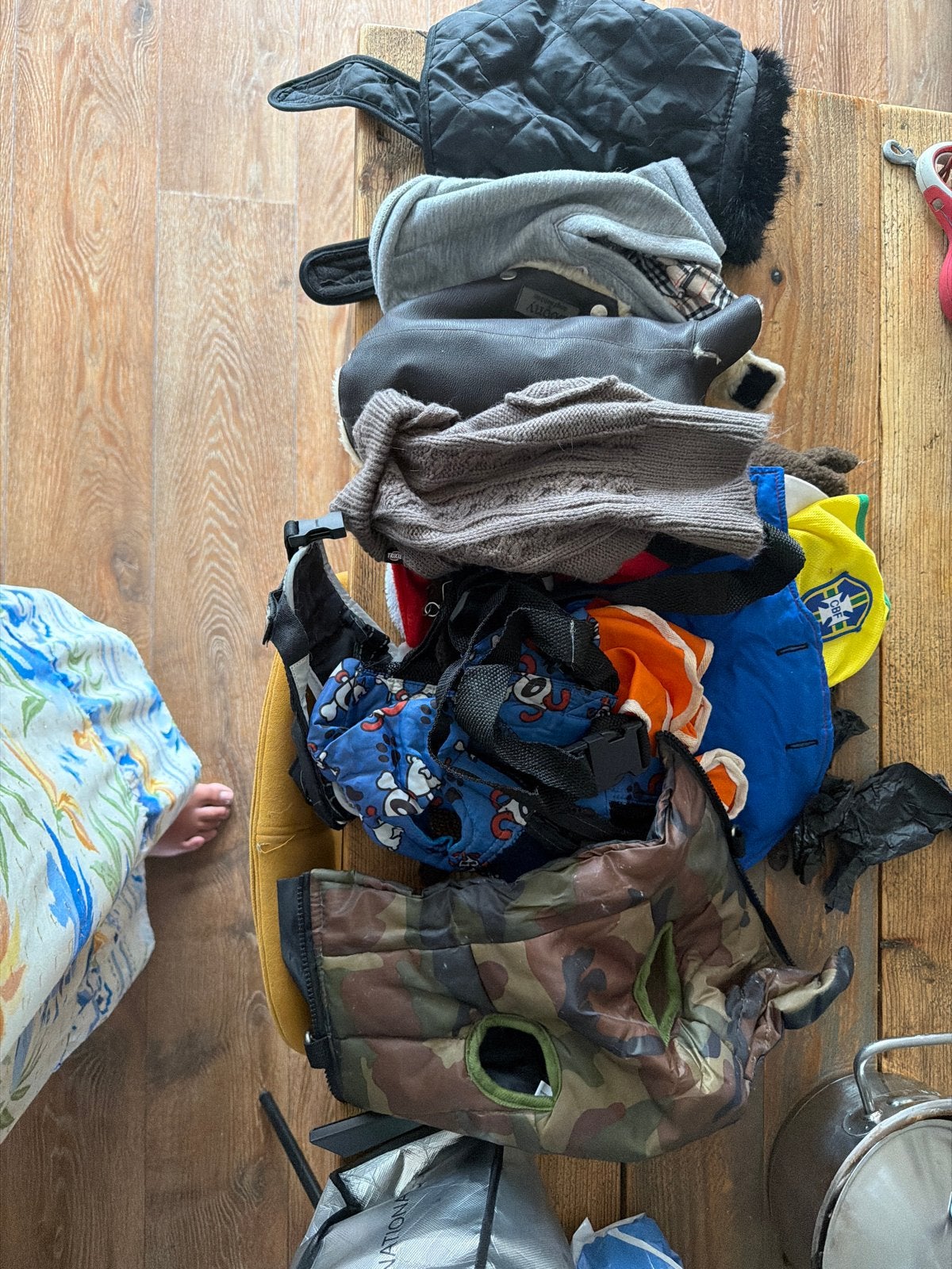 Gratis hondenkleren, Ophalen of Verzenden