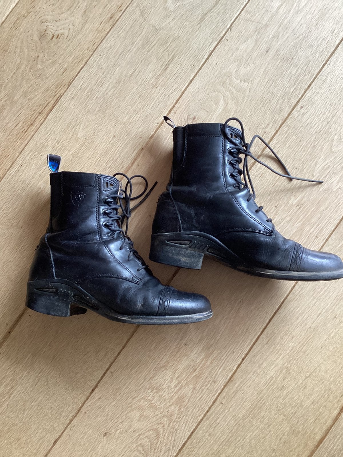 Ariat schoenen maat 38, Dieren en Toebehoren, Paardrijkleding, Gebruikt, Ophalen of Verzenden, Ariat, Zwart