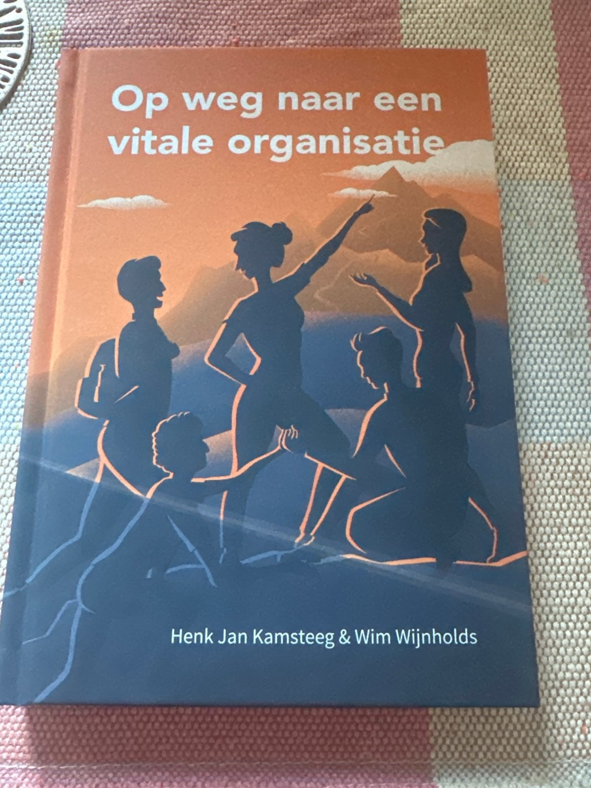 Op weg naar een vitale organisatie - Henk Jan Kamsteeg, Boeken, Ophalen of Verzenden, Zo goed als nieuw