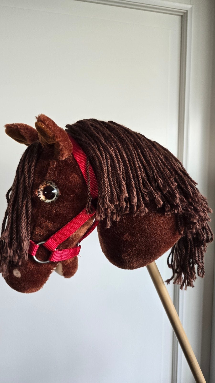Hobby Horse van pipoos met rood halster en bruin hoofdstel, Ophalen, Zo goed als nieuw, Jongen of Meisje