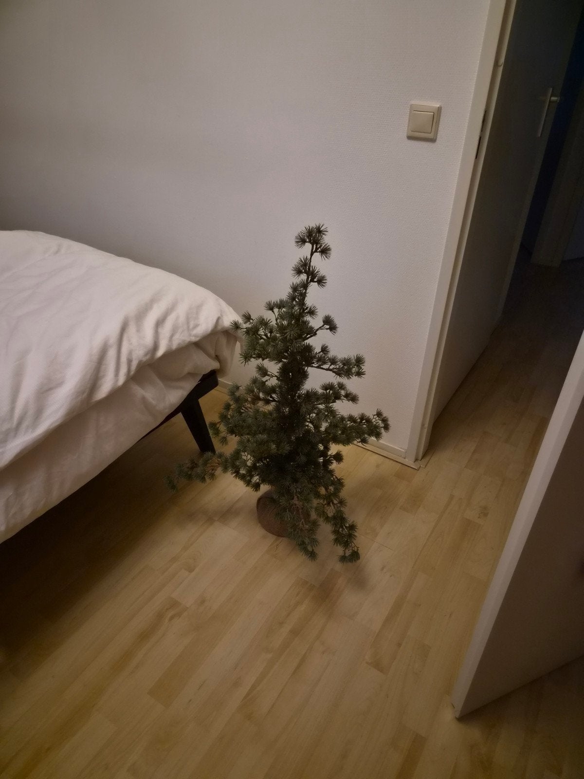 kunstboom, Ophalen, Nieuw