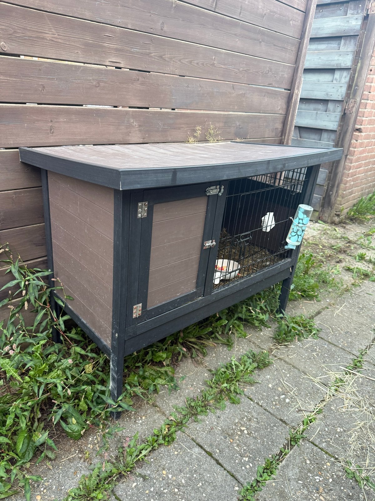 Gratis, Dieren en Toebehoren, Ophalen of Verzenden
