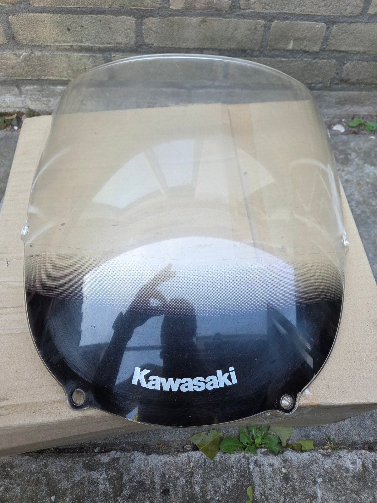 Originele Kuipruit Kawasaki ZX6R 600G (1998-2002), Ophalen of Verzenden, Gebruikt