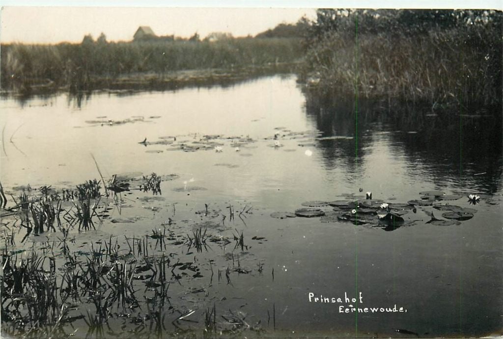 701-041-007 Eernewoude Prinsenhof, Verzenden, Voor 1920, Friesland