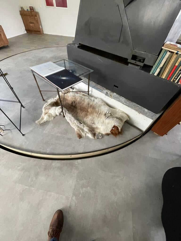 Rendier vacht, Gebruikt, 100 tot 150 cm, Beige, Overige vormen