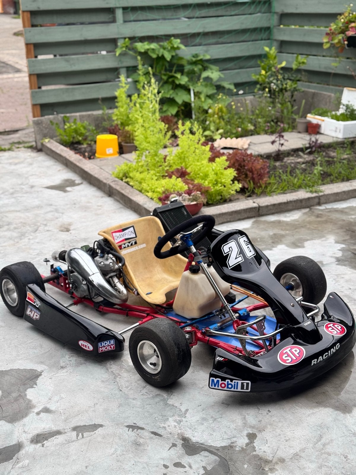Complete Kart met Motor - Klaar om te Racen!, Ophalen, Gebruikt, Kart