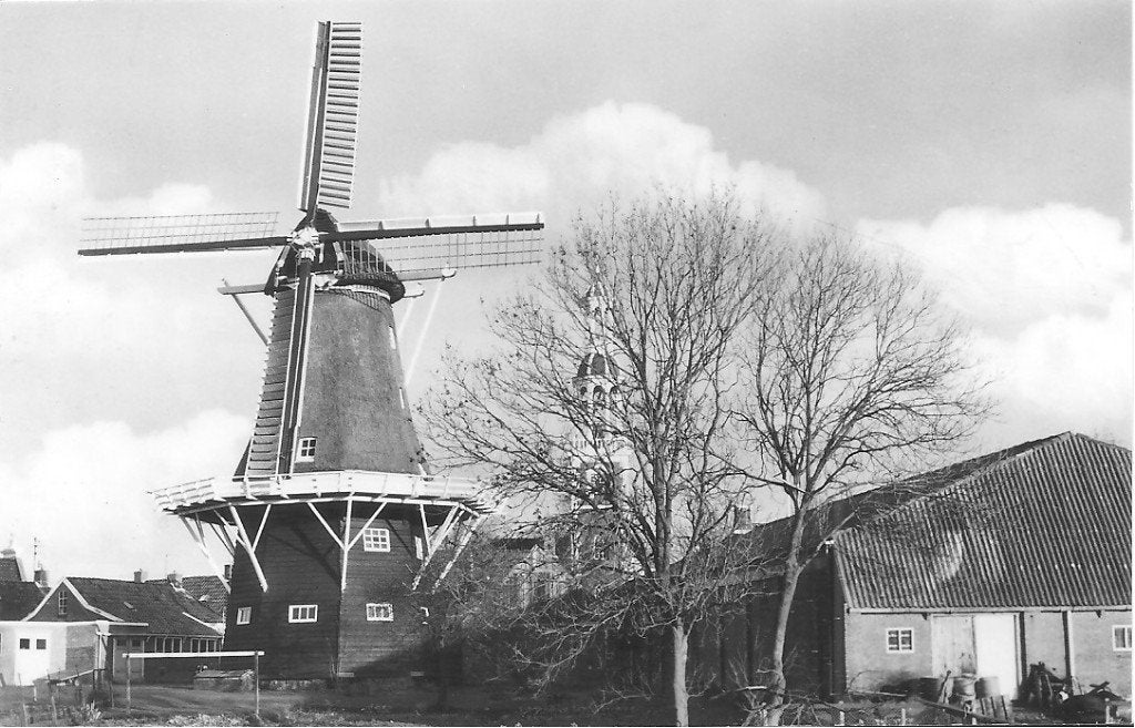 Ansichtkaart Spijk, korenmolen Ceres, foto nov. 1973, Ophalen of Verzenden, 1960 tot 1980, Ongelopen, Groningen